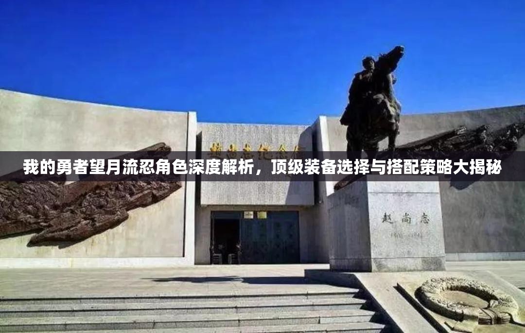 我的勇者望月流忍角色深度解析，顶级装备选择与搭配策略大揭秘