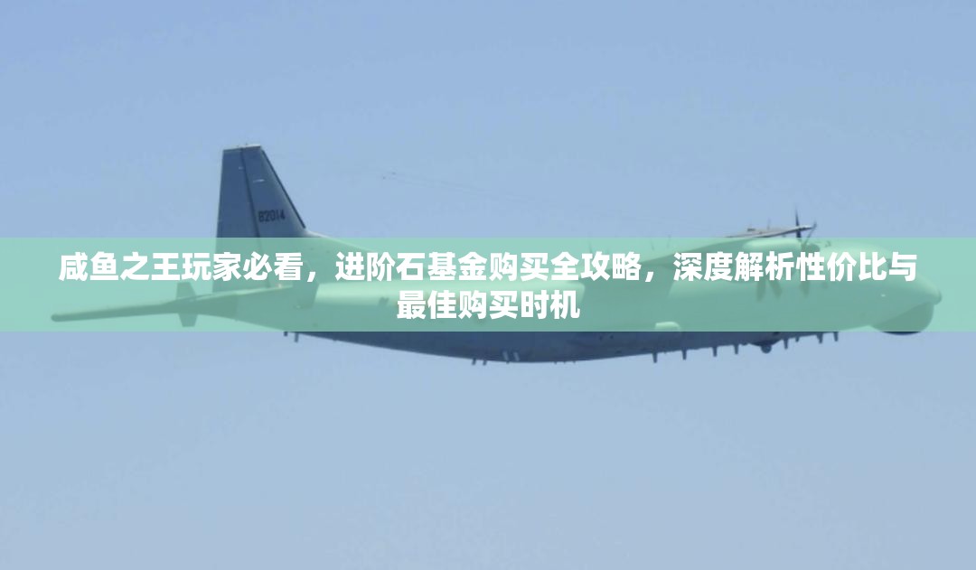咸鱼之王玩家必看，进阶石基金购买全攻略，深度解析性价比与最佳购买时机
