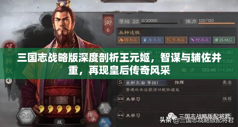 三国志战略版深度剖析王元姬，智谋与辅佐并重，再现皇后传奇风采