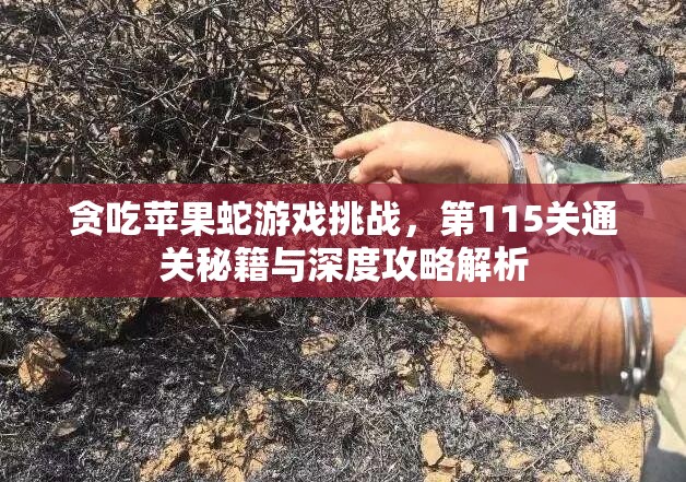贪吃苹果蛇游戏挑战，第115关通关秘籍与深度攻略解析
