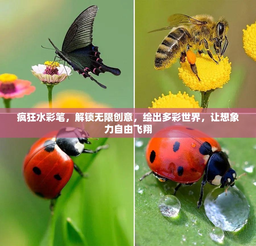 疯狂水彩笔，解锁无限创意，绘出多彩世界，让想象力自由飞翔