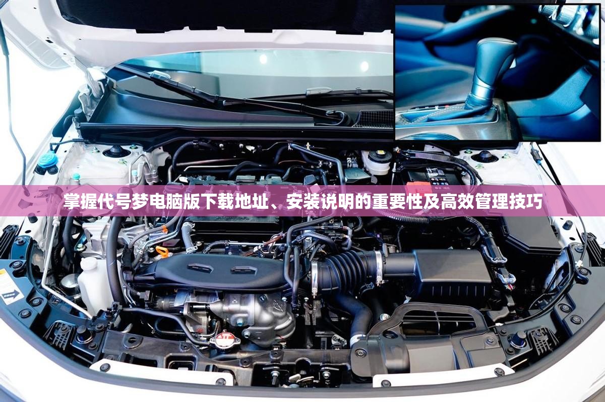 掌握代号梦电脑版下载地址、安装说明的重要性及高效管理技巧