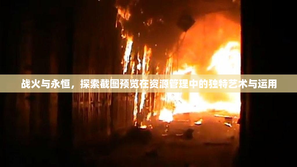 战火与永恒，探索截图预览在资源管理中的独特艺术与运用