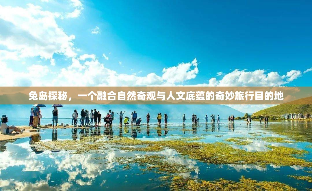 兔岛探秘，一个融合自然奇观与人文底蕴的奇妙旅行目的地