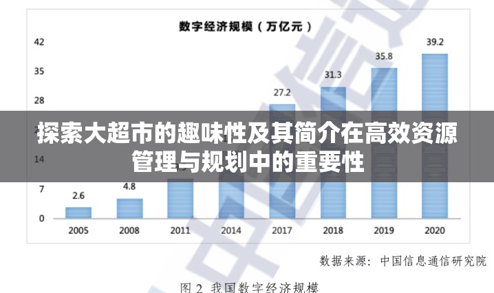 探索大超市的趣味性及其简介在高效资源管理与规划中的重要性