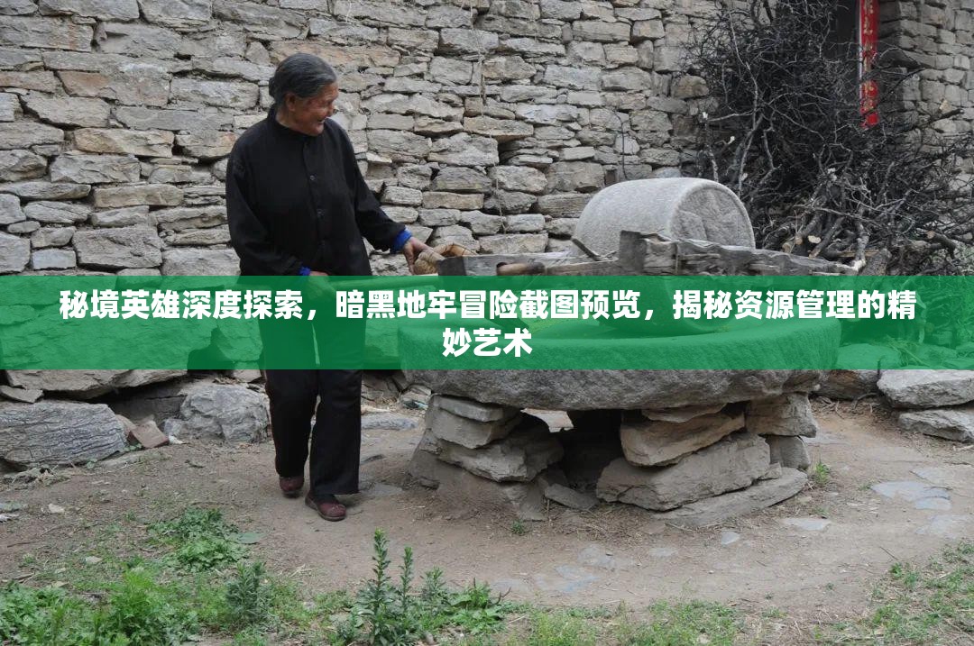 秘境英雄深度探索，暗黑地牢冒险截图预览，揭秘资源管理的精妙艺术