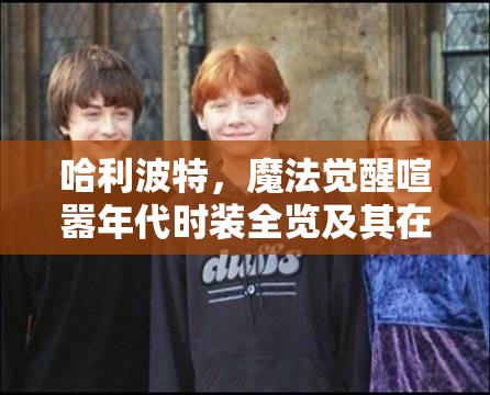 哈利波特，魔法觉醒喧嚣年代时装全览及其在资源管理中的价值与高效运用策略