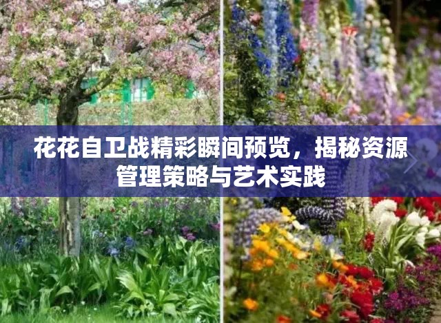 花花自卫战精彩瞬间预览，揭秘资源管理策略与艺术实践