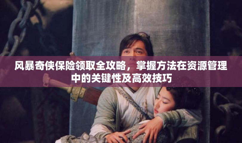 风暴奇侠保险领取全攻略，掌握方法在资源管理中的关键性及高效技巧