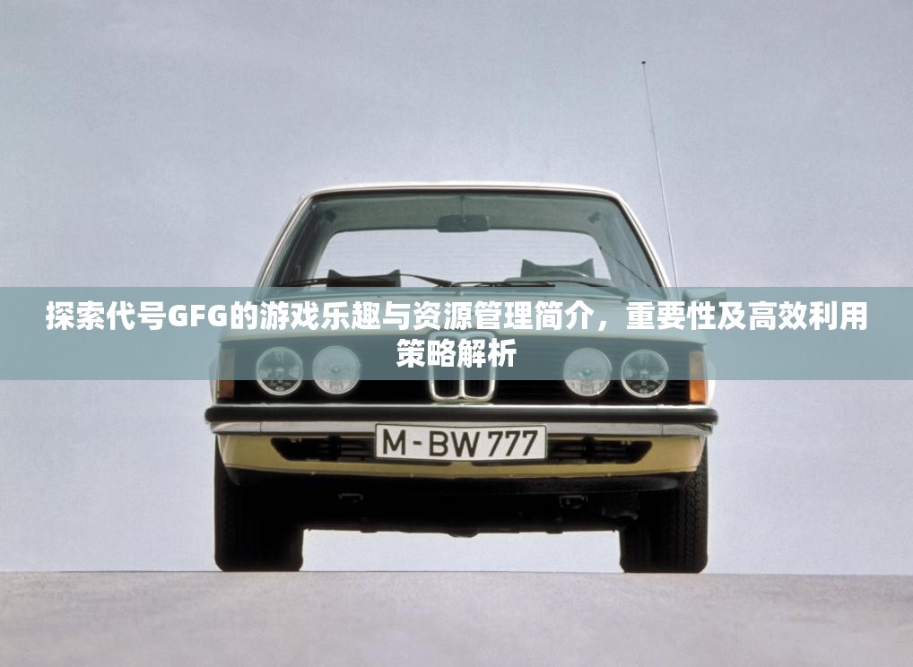 探索代号GFG的游戏乐趣与资源管理简介，重要性及高效利用策略解析