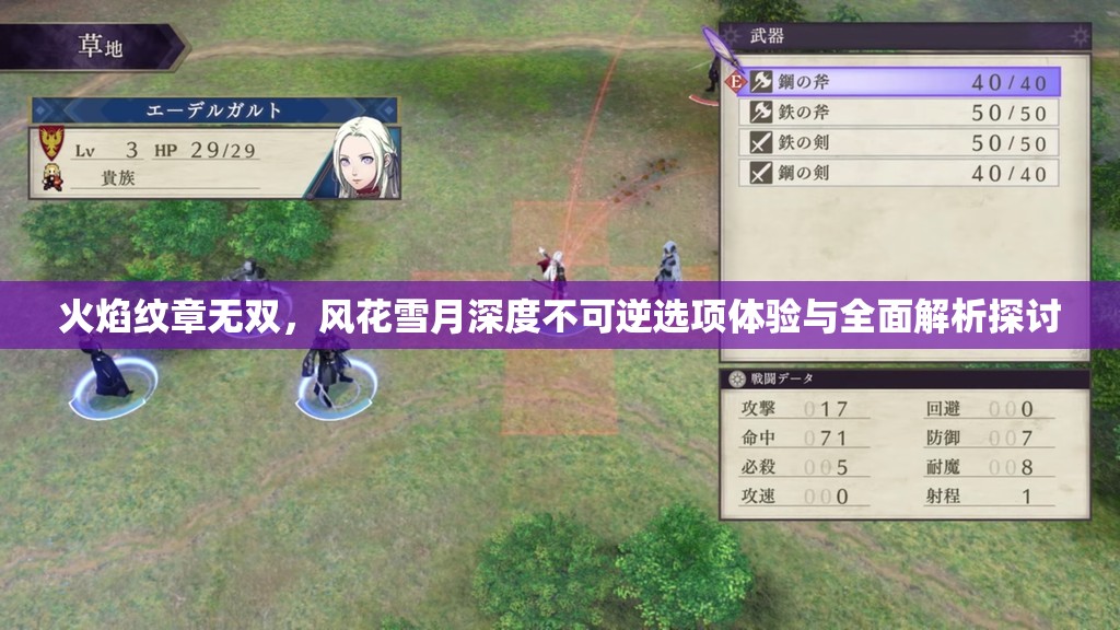 火焰纹章无双，风花雪月深度不可逆选项体验与全面解析探讨