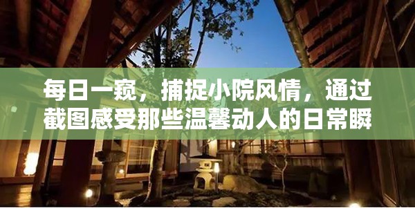 每日一窥，捕捉小院风情，通过截图感受那些温馨动人的日常瞬间