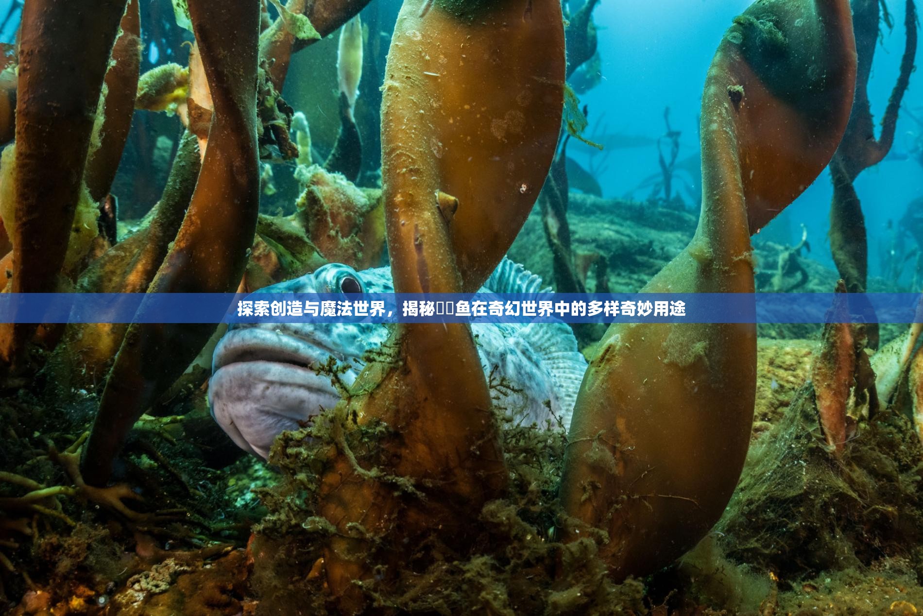 探索创造与魔法世界，揭秘鮟鱇鱼在奇幻世界中的多样奇妙用途