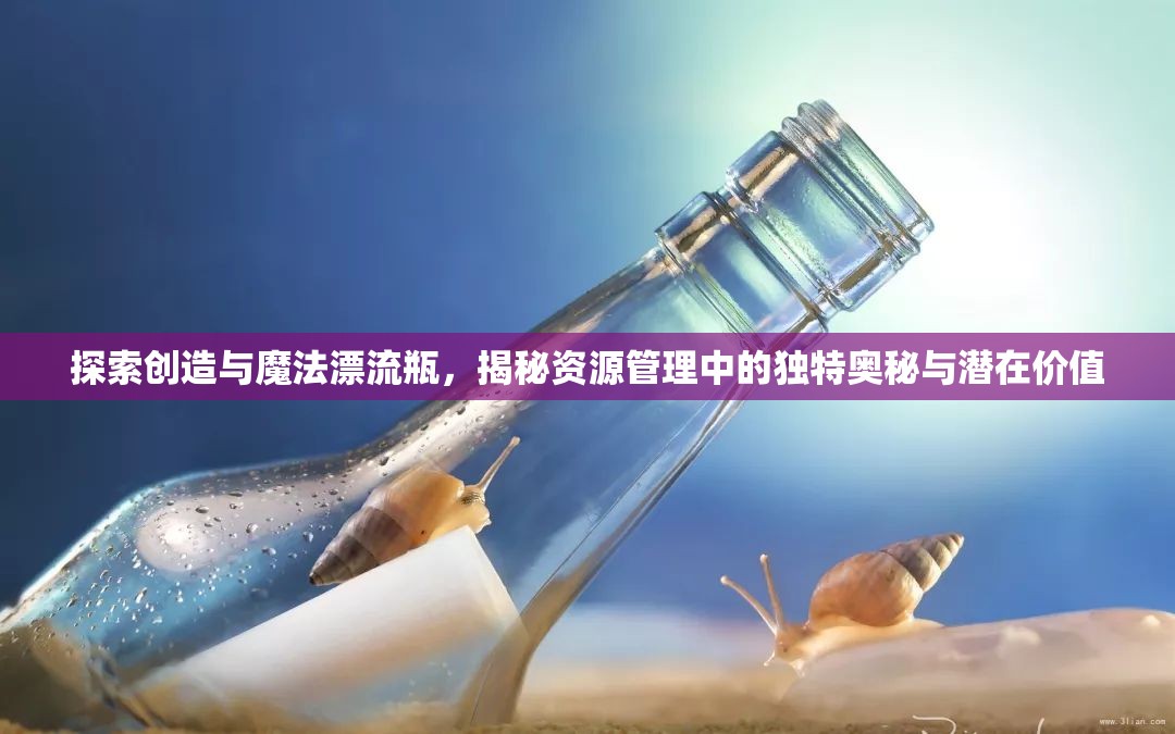 探索创造与魔法漂流瓶，揭秘资源管理中的独特奥秘与潜在价值