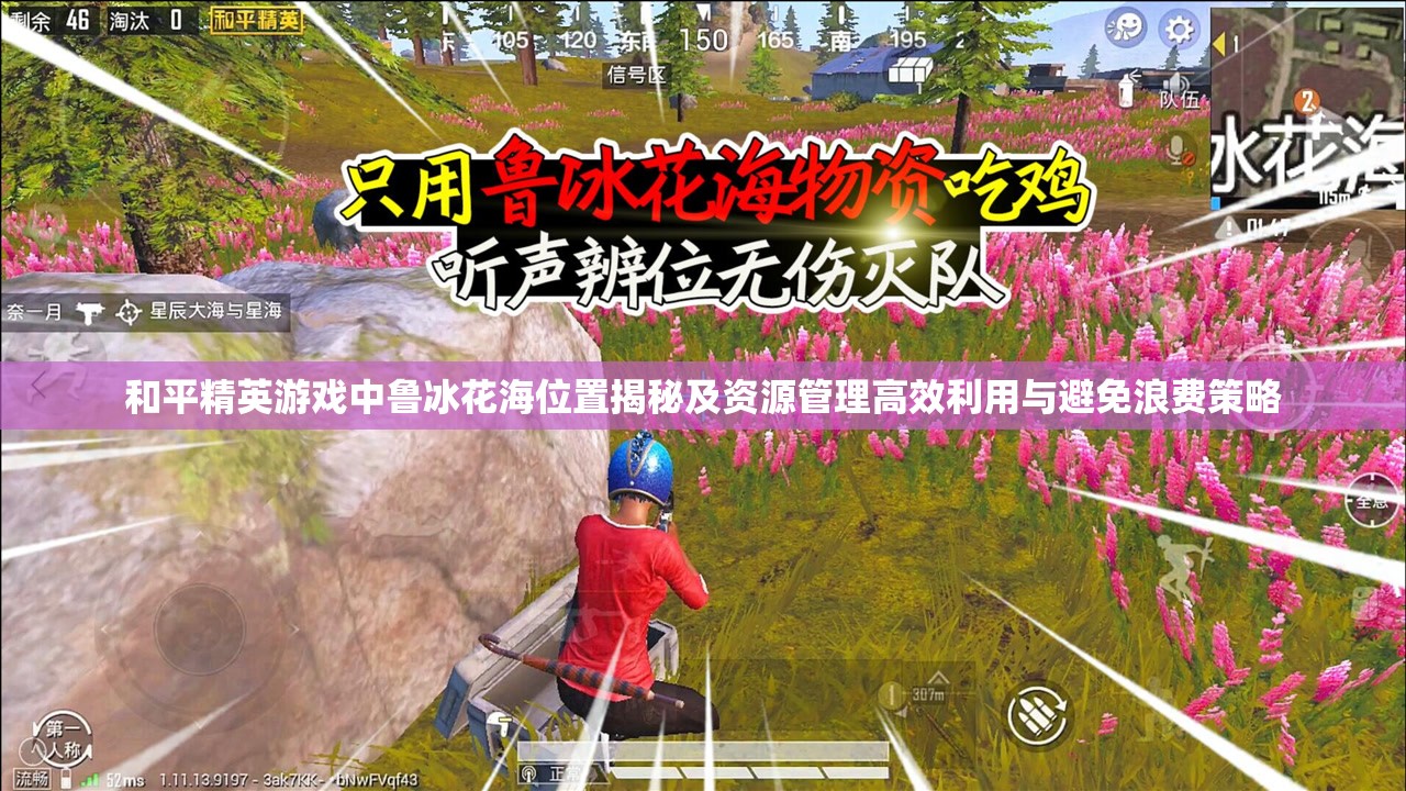 和平精英游戏中鲁冰花海位置揭秘及资源管理高效利用与避免浪费策略