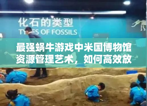 最强蜗牛游戏中米国博物馆资源管理艺术，如何高效放置展品
