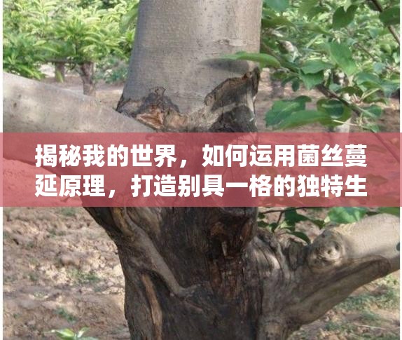 揭秘我的世界，如何运用菌丝蔓延原理，打造别具一格的独特生态系统秘诀