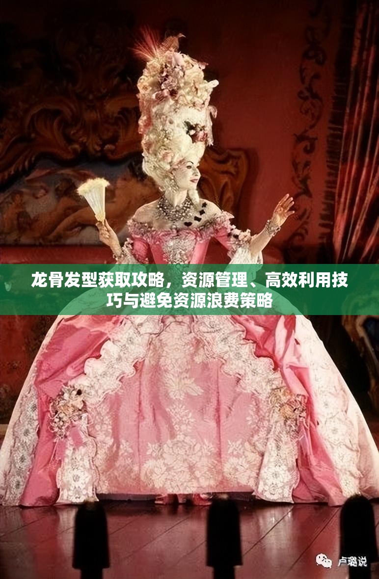 龙骨发型获取攻略，资源管理、高效利用技巧与避免资源浪费策略