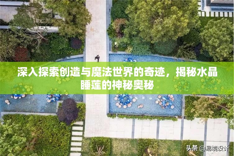 深入探索创造与魔法世界的奇迹，揭秘水晶睡莲的神秘奥秘