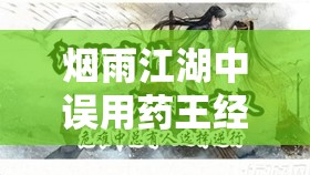 烟雨江湖中误用药王经怎么办？别担心，这里有详细解救指南！