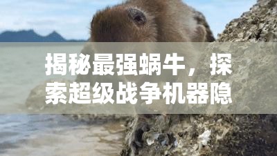 揭秘最强蜗牛，探索超级战争机器隐藏之地的神秘面纱