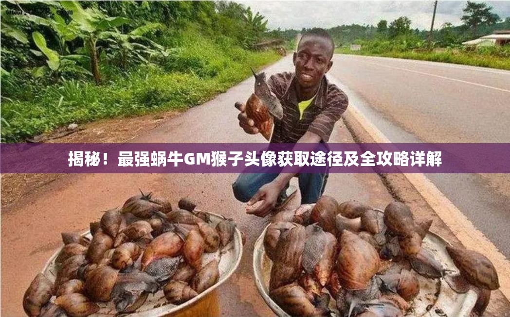 揭秘！最强蜗牛GM猴子头像获取途径及全攻略详解