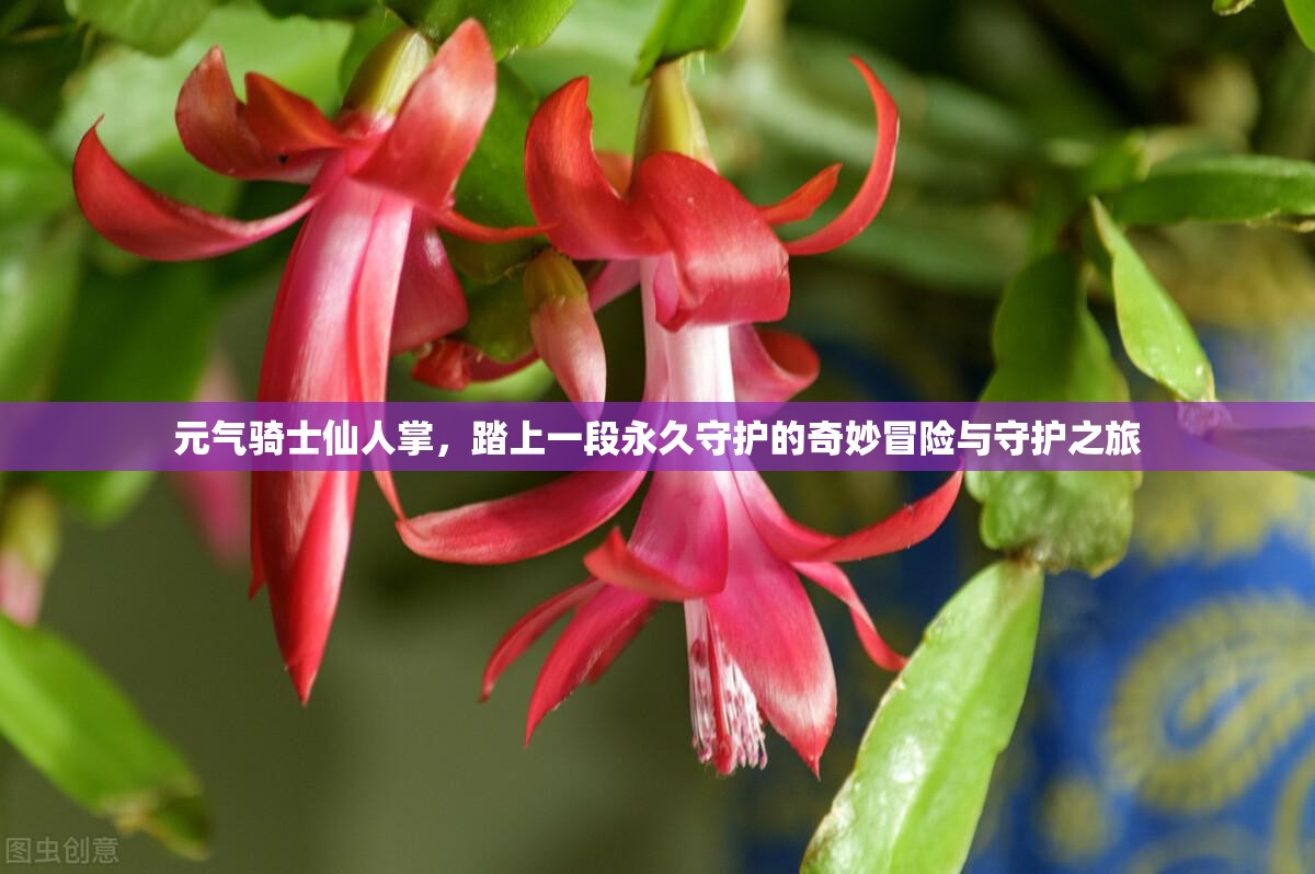 元气骑士仙人掌，踏上一段永久守护的奇妙冒险与守护之旅