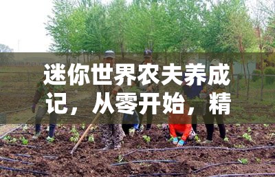 迷你世界农夫养成记，从零开始，精心打造你的专属梦幻田园生活