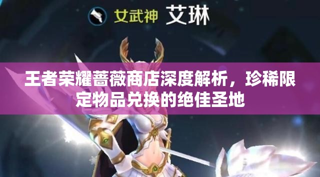 王者荣耀蔷薇商店深度解析，珍稀限定物品兑换的绝佳圣地