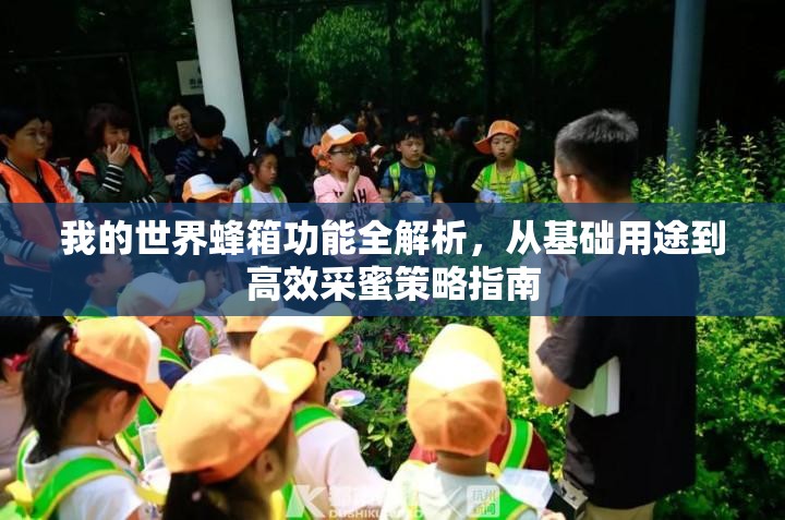 我的世界蜂箱功能全解析，从基础用途到高效采蜜策略指南