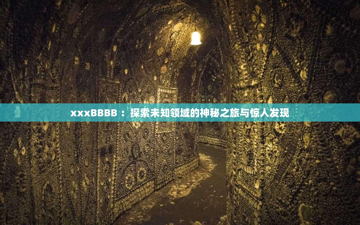 xxxBBBB ：探索未知领域的神秘之旅与惊人发现
