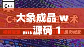 大象成品 w 灬源码 1 ：探索其独特魅力与无限可能