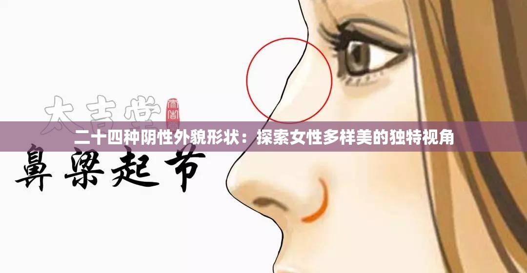 二十四种阴性外貌形状：探索女性多样美的独特视角