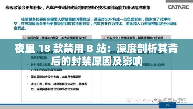夜里 18 款禁用 B 站：深度剖析其背后的封禁原因及影响