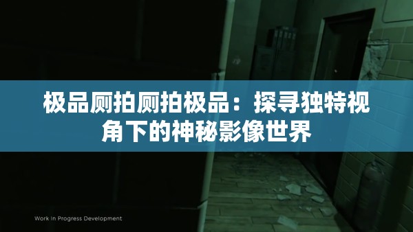 极品厕拍厕拍极品：探寻独特视角下的神秘影像世界