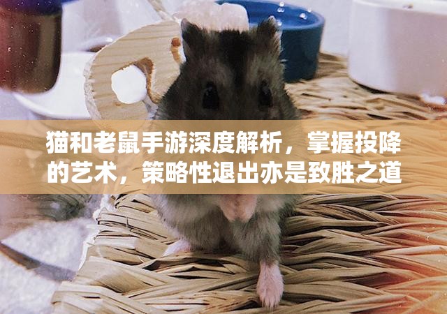 猫和老鼠手游深度解析，掌握投降的艺术，策略性退出亦是致胜之道
