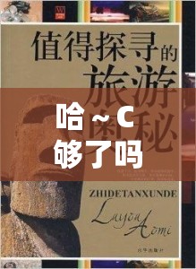 哈～C 够了吗提纳里-：探寻其背后的神秘意义与价值