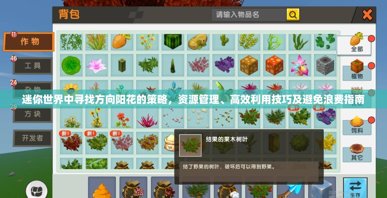 迷你世界中寻找方向阳花的策略，资源管理、高效利用技巧及避免浪费指南