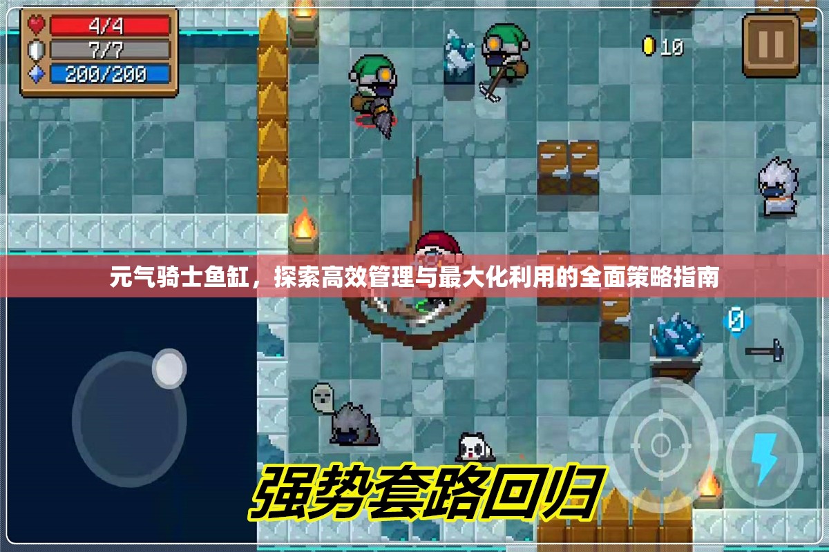 元气骑士鱼缸，探索高效管理与最大化利用的全面策略指南