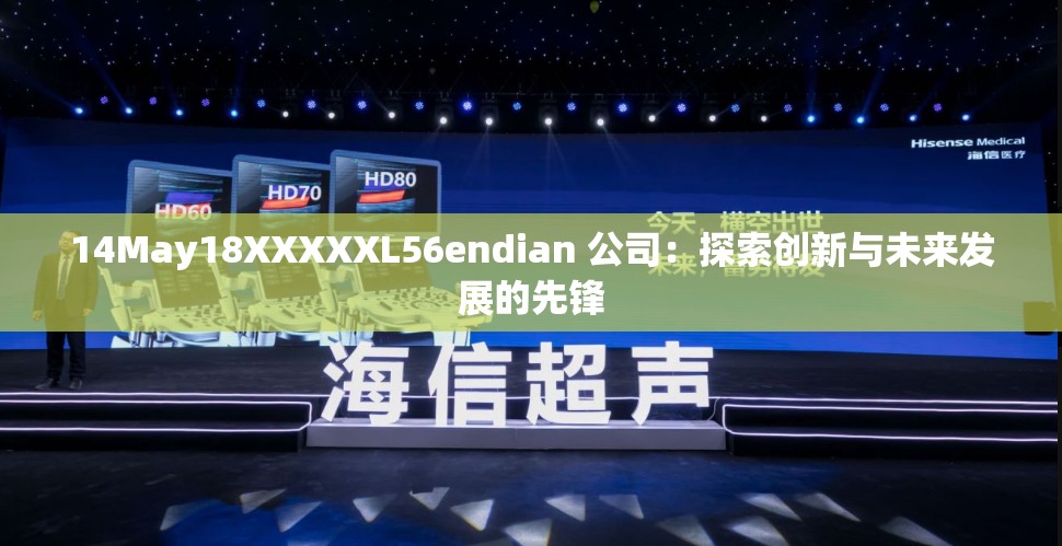14May18XXXXXL56endian 公司：探索创新与未来发展的先锋