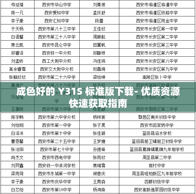 成色好的 Y31S 标准版下载- 优质资源快速获取指南