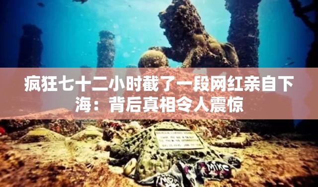 疯狂七十二小时截了一段网红亲自下海：背后真相令人震惊