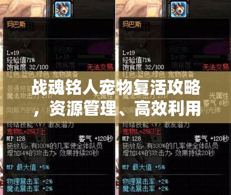 战魂铭人宠物复活攻略，资源管理、高效利用策略及避免浪费方法