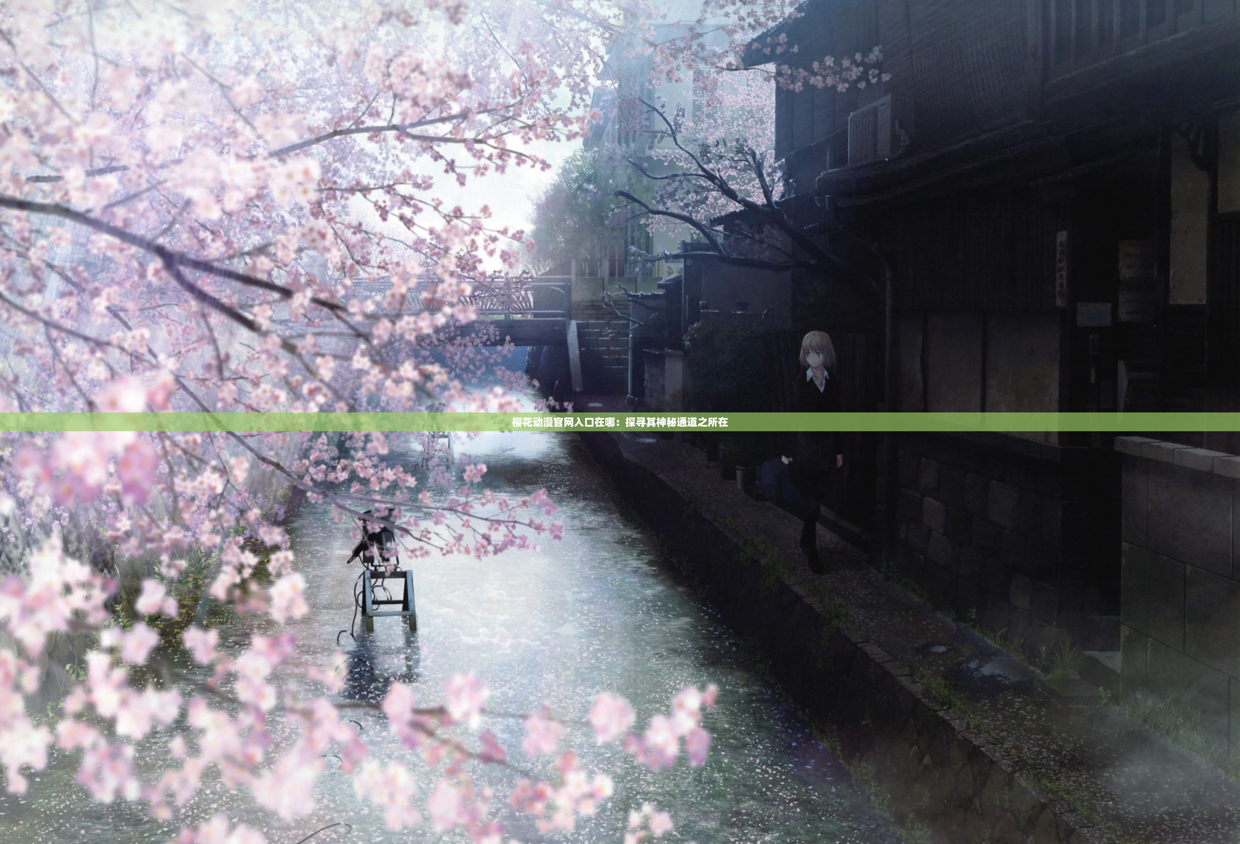 樱花动漫官网入口在哪：探寻其神秘通道之所在