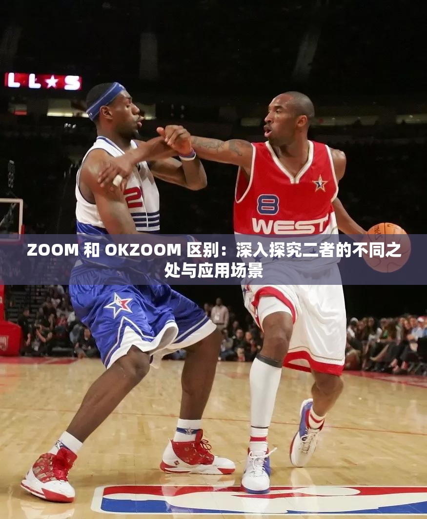ZOOM 和 OKZOOM 区别：深入探究二者的不同之处与应用场景