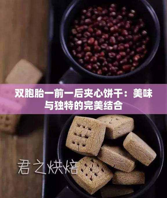 双胞胎一前一后夹心饼干：美味与独特的完美结合
