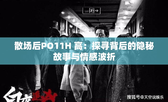 散场后PO11H 高：探寻背后的隐秘故事与情感波折