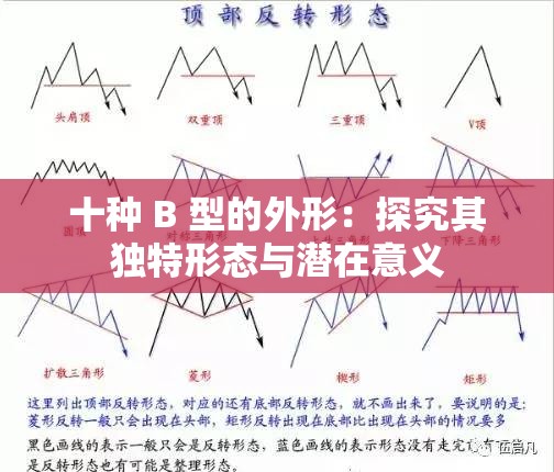 十种 B 型的外形：探究其独特形态与潜在意义