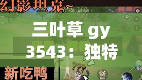 三叶草 gy3543：独特魅力与未知的探索之旅