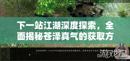 下一站江湖深度探索，全面揭秘苍泽真气的获取方法与途径